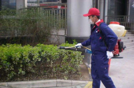 宿遷蠅類(lèi)防治